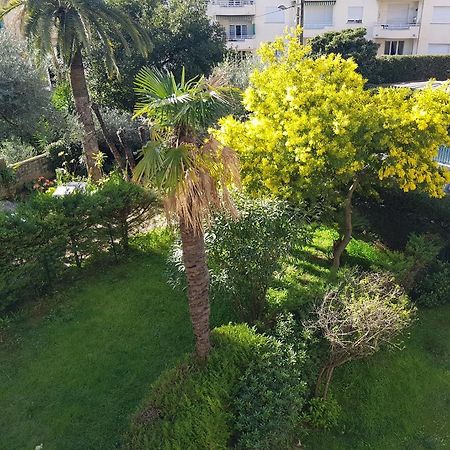 Melodie كان المظهر الخارجي الصورة