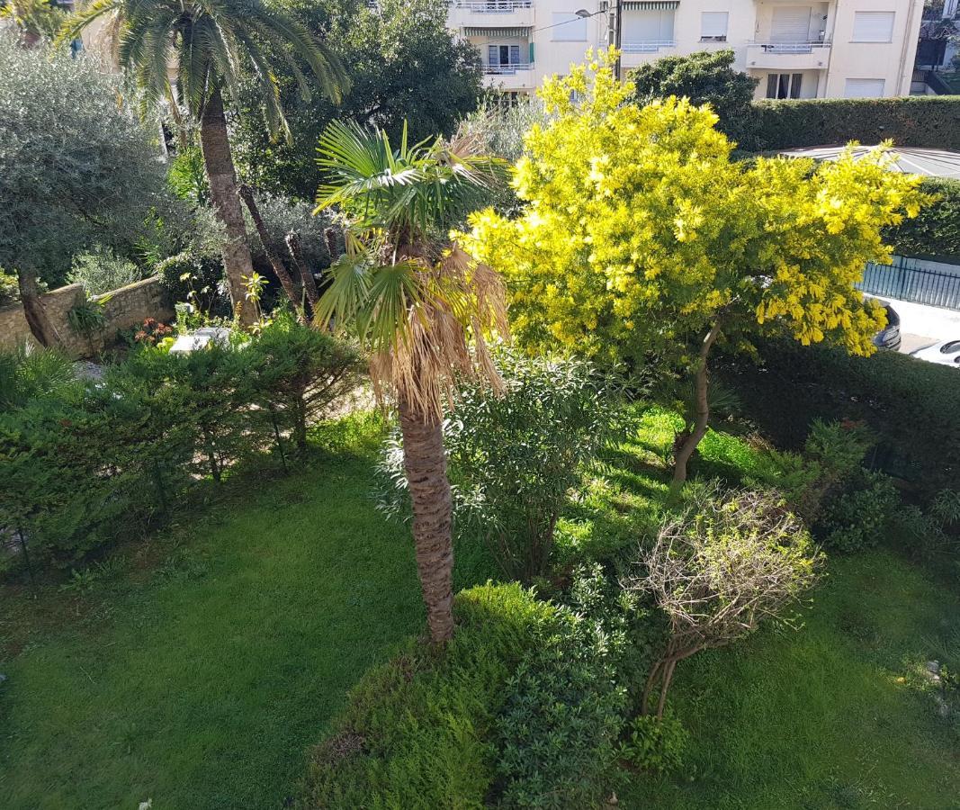 Melodie كان المظهر الخارجي الصورة