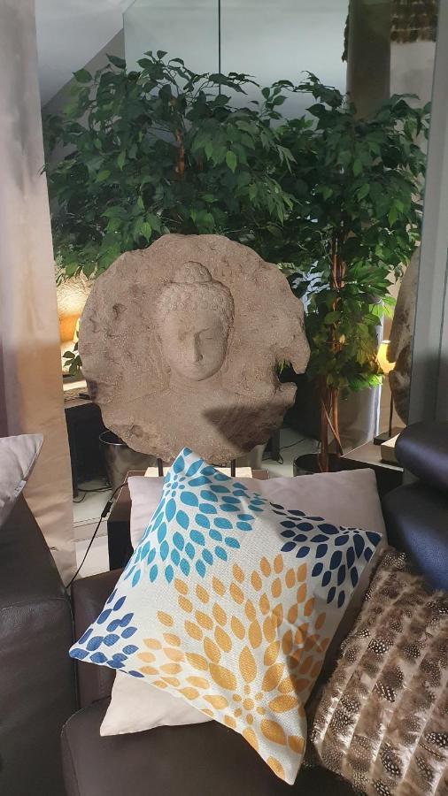 Melodie كان المظهر الخارجي الصورة
